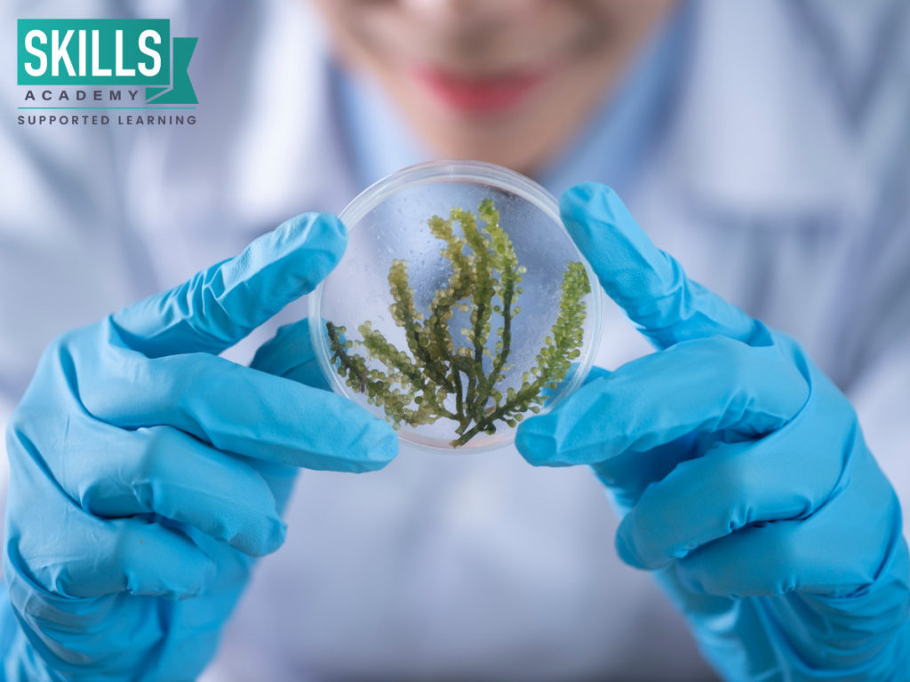 实验室助理拿着植物样本。过去的生命科学大学入学考试试卷都可以教你关于生物学。